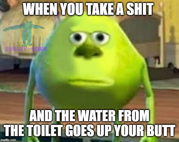 Monsters Inc | WHEN YOU TAKE A SHIT; AND THE WATER FROM THE TOILET GOES UP YOUR BUTT | image tagged in monsters inc | made w/ Imgflip meme maker