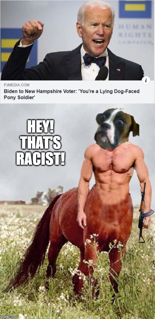 Joe Said What? | HEY! THAT'S RACIST! | image tagged in joe biden | made w/ Imgflip meme maker