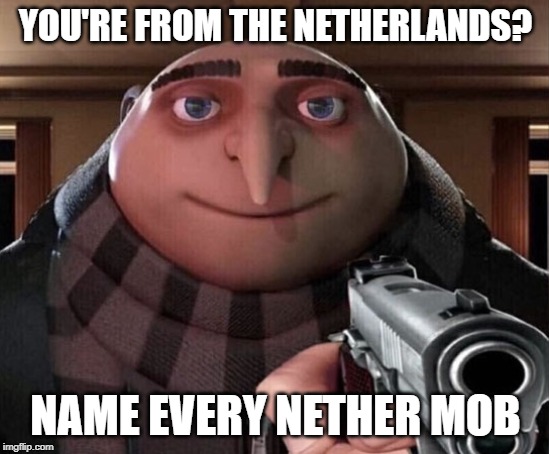 Gru Gun | YOU'RE FROM THE NETHERLANDS? NAME EVERY NETHER MOB | image tagged in gru gun | made w/ Imgflip meme maker