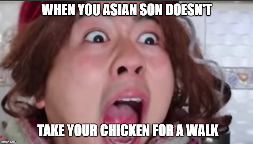 NO Chicken Walk | WHEN YOU ASIAN SON DOESN'T; TAKE YOUR CHICKEN FOR A WALK | image tagged in funny memes | made w/ Imgflip meme maker