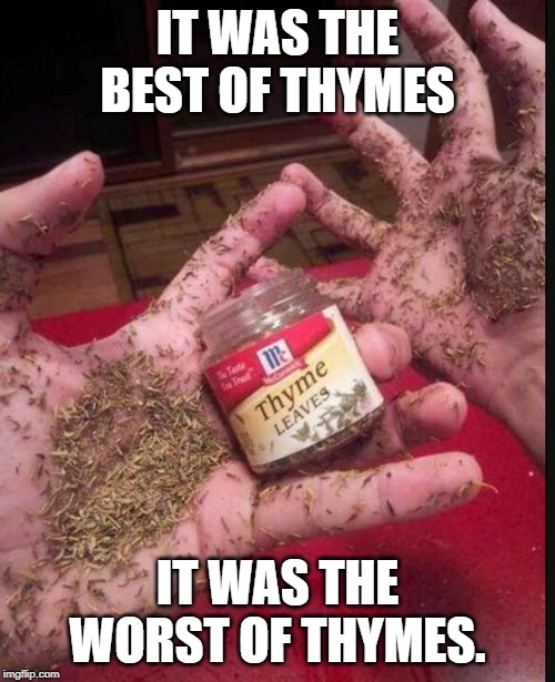 Thyme | IT WAS THE BEST OF THYMES; IT WAS THE WORST OF THYMES. | image tagged in thyme | made w/ Imgflip meme maker