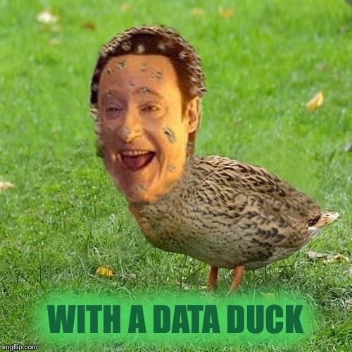 Cool Bullshit Da data duckith | WITH A DATA DUCK | image tagged in cool bullshit da data duckith | made w/ Imgflip meme maker