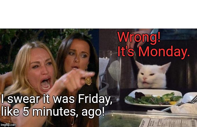 It's Monday | Wrong!
It's Monday. I swear it was Friday,
like 5 minutes, ago! | image tagged in memes,woman yelling at cat,weekend over,monday | made w/ Imgflip meme maker
