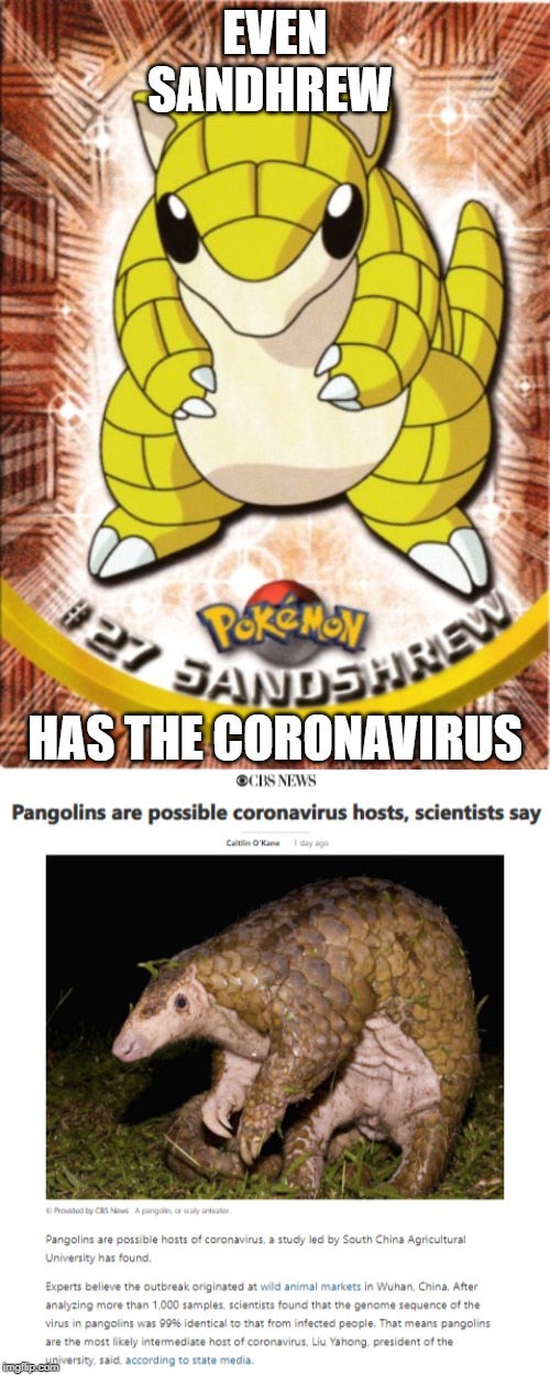 Sandshrew got his... | EVEN SANDHREW; HAS THE CORONAVIRUS | image tagged in pokemon,coronavirus,corona virus,corona,virus | made w/ Imgflip meme maker