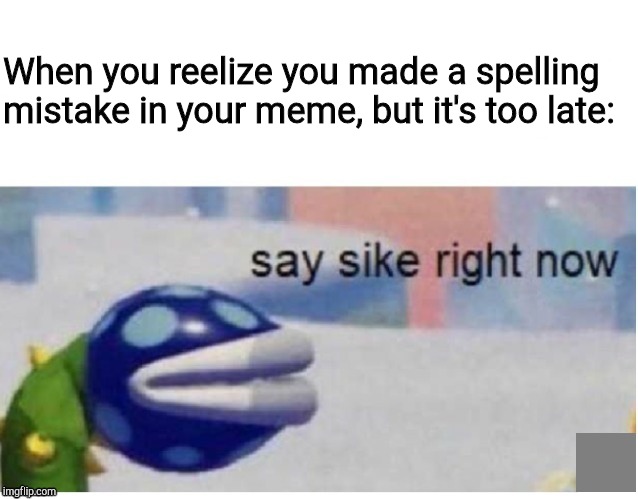Bad Grammar And Spelling Memes Memes Gifs Imgflip
