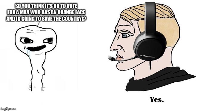 Nordic gamer Yes meme | SO YOU THINK IT’S OK TO VOTE FOR A MAN WHO HAS AN ORANGE FACE AND IS GOING TO SAVE THE COUNTRY!? | image tagged in nordic gamer yes meme | made w/ Imgflip meme maker