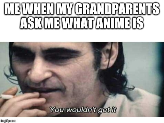 Grandparents | ME WHEN MY GRANDPARENTS ASK ME WHAT ANIME IS | image tagged in memes,you wouldn't get it,anime | made w/ Imgflip meme maker