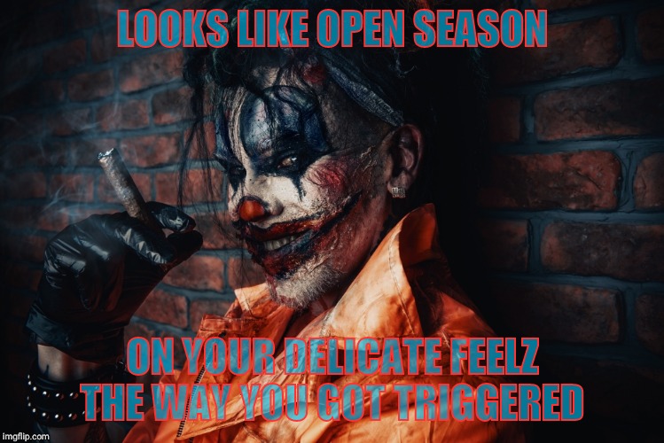 w | LOOKS LIKE OPEN SEASON ON YOUR DELICATE FEELZ THE WAY YOU GOT TRIGGERED | image tagged in evil bloodstained clown | made w/ Imgflip meme maker