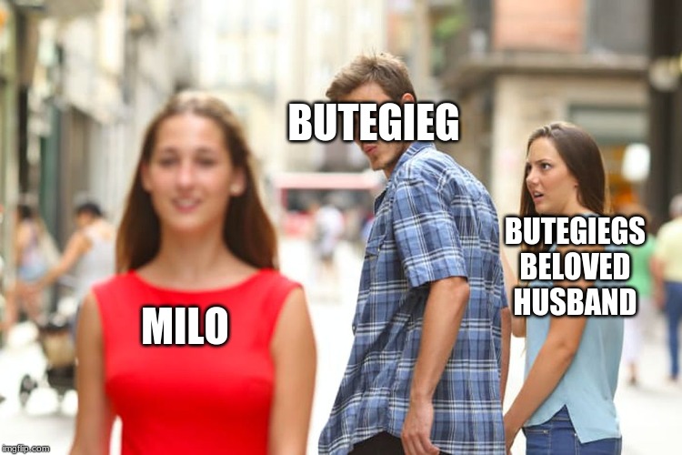 Distracted Boyfriend | BUTEGIEG; BUTEGIEGS BELOVED HUSBAND; MILO | image tagged in memes,distracted boyfriend | made w/ Imgflip meme maker