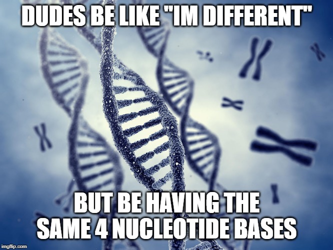 Shitpost is Genetic | DUDES BE LIKE "IM DIFFERENT"; BUT BE HAVING THE SAME 4 NUCLEOTIDE BASES | image tagged in shitpost is genetic | made w/ Imgflip meme maker