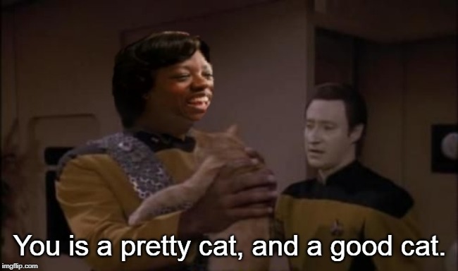 You is a pretty cat, and a good cat. | image tagged in memes,star trek,the help | made w/ Imgflip meme maker
