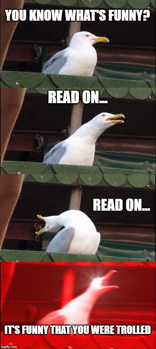 Inhaling Seagull | YOU KNOW WHAT'S FUNNY? READ ON... READ ON... IT'S FUNNY THAT YOU WERE TROLLED | image tagged in memes,inhaling seagull | made w/ Imgflip meme maker