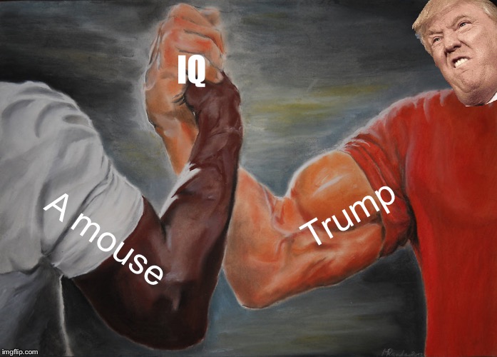 Epic Handshake | IQ; Trump; A mouse | image tagged in memes,epic handshake | made w/ Imgflip meme maker