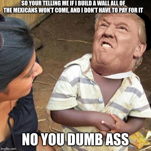 Third World Skeptical Kid Meme | SO YOUR TELLING ME IF I BUILD A WALL ALL OF THE MEXICANS WON’T COME, AND I DON’T HAVE TO PAY FOR IT; NO YOU DUMB ASS | image tagged in memes,third world skeptical kid | made w/ Imgflip meme maker