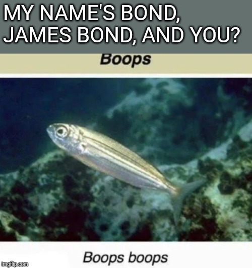 The rare boopsfish | MY NAME'S BOND, JAMES BOND, AND YOU? | image tagged in boop,fish,james bond,memes,funny,funny memes | made w/ Imgflip meme maker