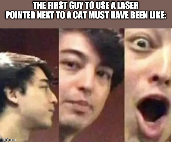 Idk what the title should be | THE FIRST GUY TO USE A LASER POINTER NEXT TO A CAT MUST HAVE BEEN LIKE: | image tagged in cats,meme,funny,lasers | made w/ Imgflip meme maker