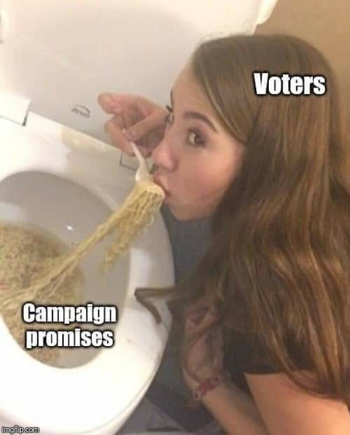 My political opinion | image tagged in politics,political meme,opinion,unpopular opinion,election 2020 | made w/ Imgflip meme maker