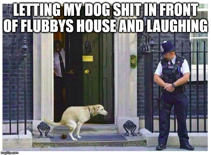 Dog Shits on 10 Downing St. doorstep  | LETTING MY DOG SHIT IN FRONT OF FLUBBYS HOUSE AND LAUGHING | image tagged in dog shits on 10 downing st doorstep | made w/ Imgflip meme maker
