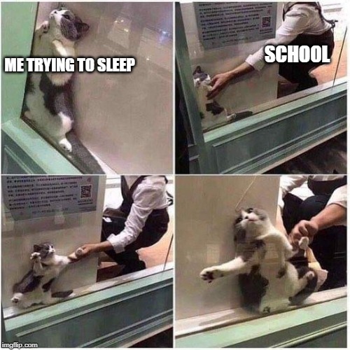 Not Ready Cat | SCHOOL; ME TRYING TO SLEEP | image tagged in not ready cat | made w/ Imgflip meme maker