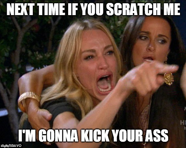 Real housewives crying | NEXT TIME IF YOU SCRATCH ME; I'M GONNA KICK YOUR ASS | image tagged in real housewives crying | made w/ Imgflip meme maker