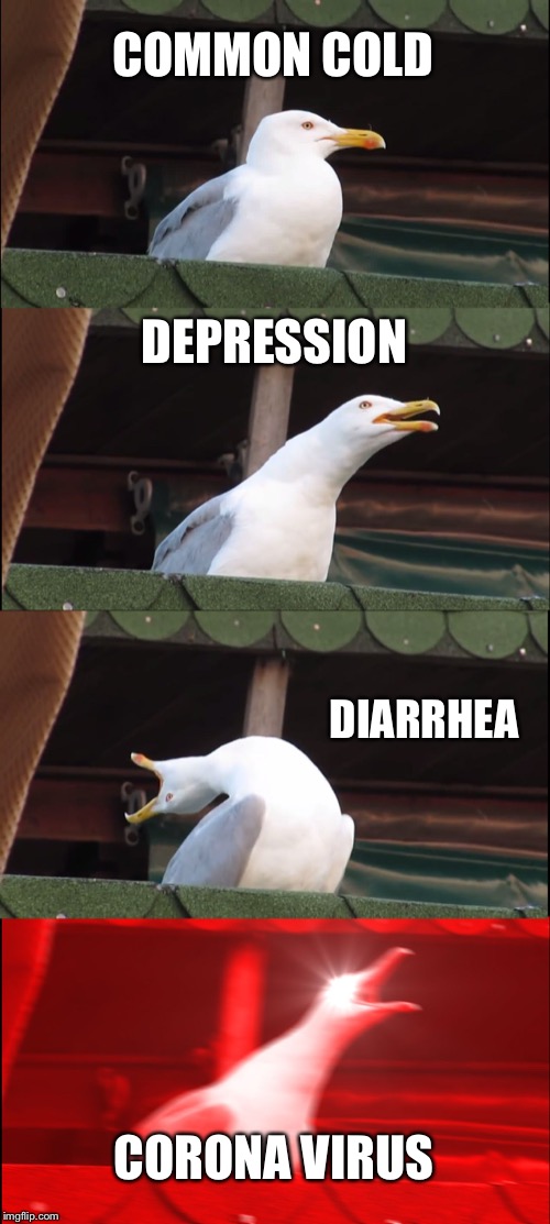 Inhaling Seagull Meme | COMMON COLD; DEPRESSION; DIARRHEA; CORONA VIRUS | image tagged in memes,inhaling seagull | made w/ Imgflip meme maker