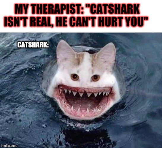 Catshark |  MY THERAPIST: "CATSHARK ISN'T REAL, HE CAN'T HURT YOU"; CATSHARK: | image tagged in catshark,funny,funny memes,funny meme,memes,brimmuthafukinstone | made w/ Imgflip meme maker