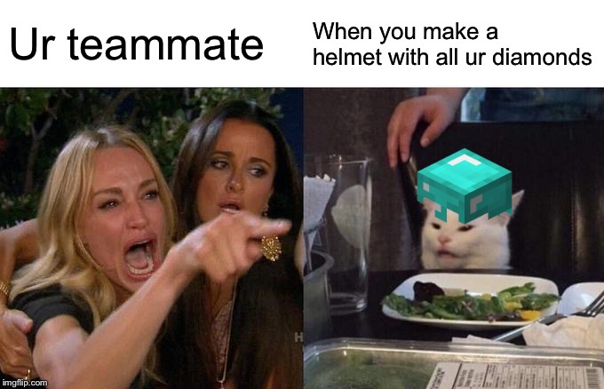 Woman Yelling At Cat | Ur teammate; When you make a helmet with all ur diamonds | image tagged in memes,woman yelling at cat | made w/ Imgflip meme maker