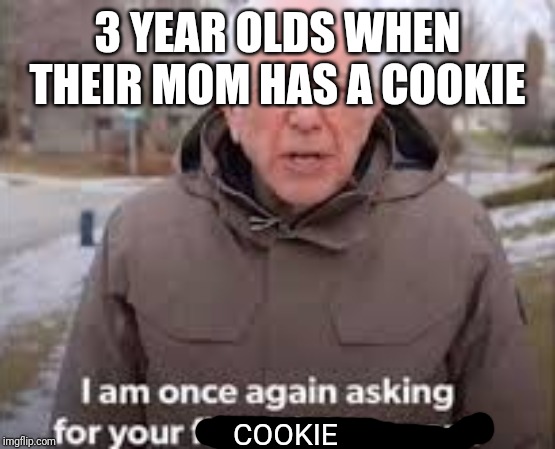 I am once again asking for your finacial support | 3 YEAR OLDS WHEN THEIR MOM HAS A COOKIE; COOKIE | image tagged in i am once again asking for your finacial support | made w/ Imgflip meme maker
