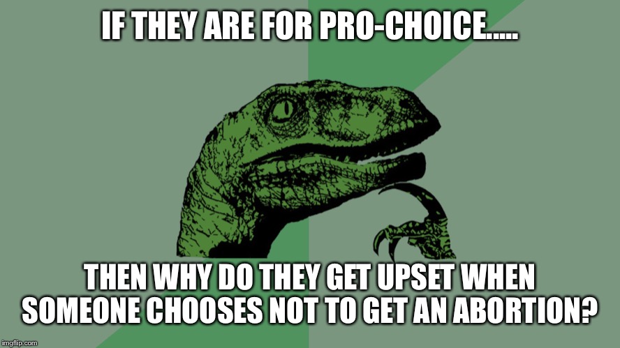 Philosophy Dinosaur | IF THEY ARE FOR PRO-CHOICE..... THEN WHY DO THEY GET UPSET WHEN SOMEONE CHOOSES NOT TO GET AN ABORTION? | image tagged in philosophy dinosaur | made w/ Imgflip meme maker