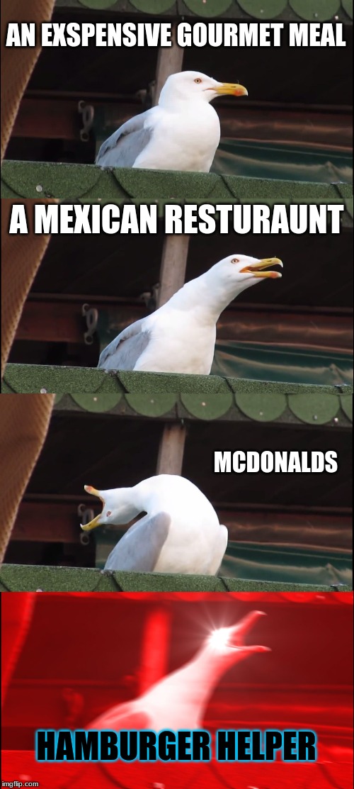 Inhaling Seagull Meme | AN EXSPENSIVE GOURMET MEAL; A MEXICAN RESTURAUNT; MCDONALDS; HAMBURGER HELPER | image tagged in memes,inhaling seagull | made w/ Imgflip meme maker
