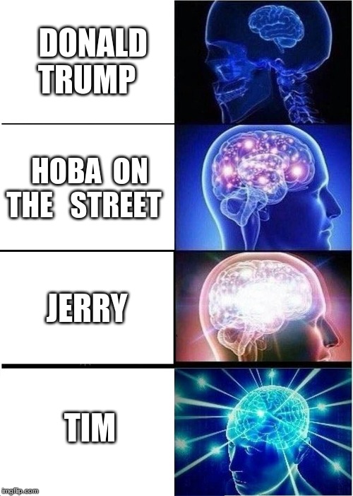 Expanding Brain | DONALD  TRUMP; HOBA  ON THE   STREET; JERRY; TIM | image tagged in memes,expanding brain | made w/ Imgflip meme maker