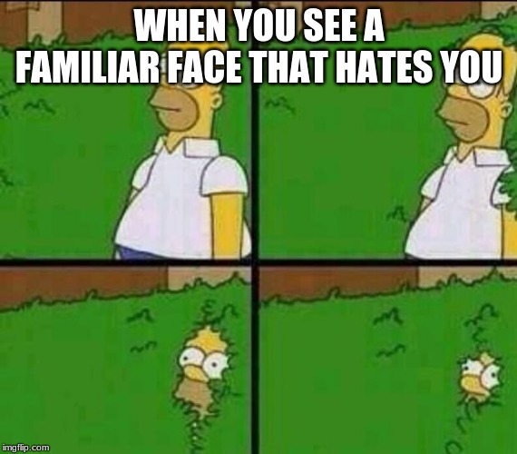 Homer Simpson in Bush - Large | WHEN YOU SEE A FAMILIAR FACE THAT HATES YOU | image tagged in homer simpson in bush - large | made w/ Imgflip meme maker