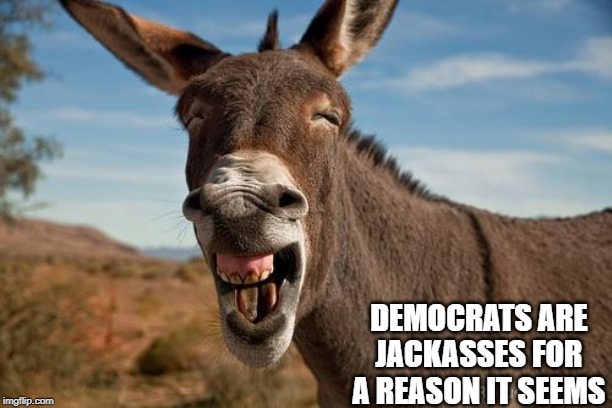 Donkey Jackass Braying | DEMOCRATS ARE JACKASSES FOR A REASON IT SEEMS | image tagged in donkey jackass braying | made w/ Imgflip meme maker