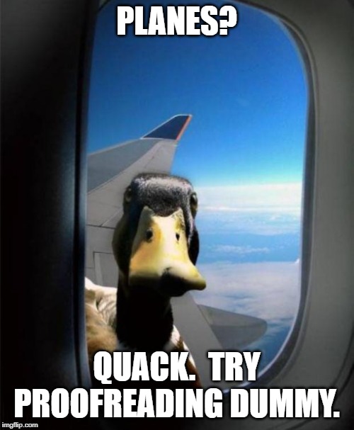 Duck on plane wing | PLANES? QUACK.  TRY PROOFREADING DUMMY. | image tagged in duck on plane wing | made w/ Imgflip meme maker