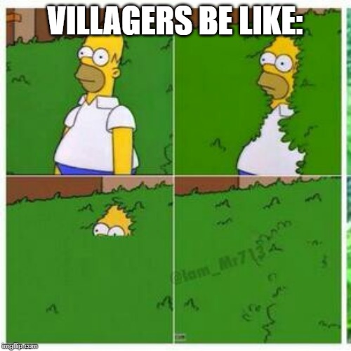 Homer hides | VILLAGERS BE LIKE: | image tagged in homer hides | made w/ Imgflip meme maker