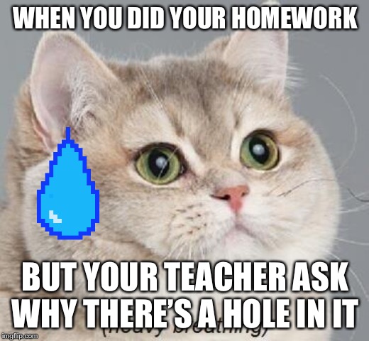 Heavy Breathing Cat | WHEN YOU DID YOUR HOMEWORK; BUT YOUR TEACHER ASK WHY THERE’S A HOLE IN IT | image tagged in memes,heavy breathing cat | made w/ Imgflip meme maker