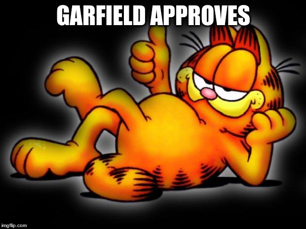 garfield thumbs up | GARFIELD APPROVES | image tagged in garfield thumbs up | made w/ Imgflip meme maker