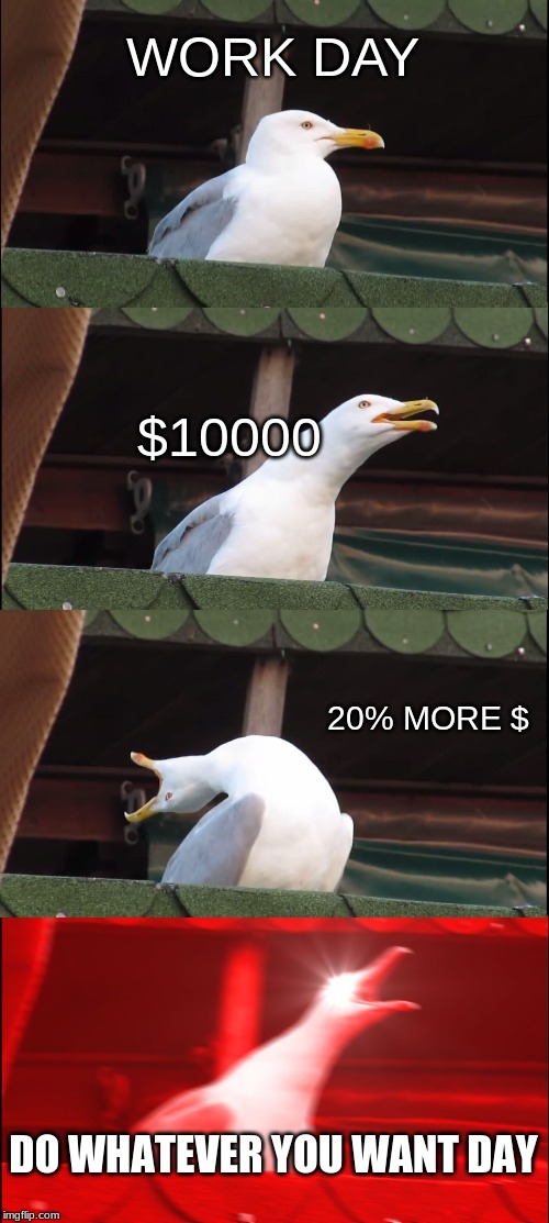 Inhaling Seagull Meme | WORK DAY; $10000; 20% MORE $; DO WHATEVER YOU WANT DAY | image tagged in memes,inhaling seagull | made w/ Imgflip meme maker