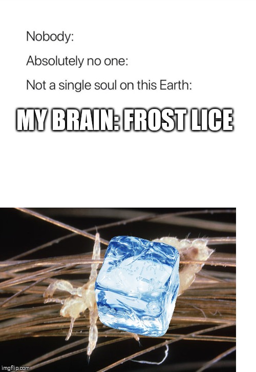 Frostlice | MY BRAIN: FROST LICE | made w/ Imgflip meme maker