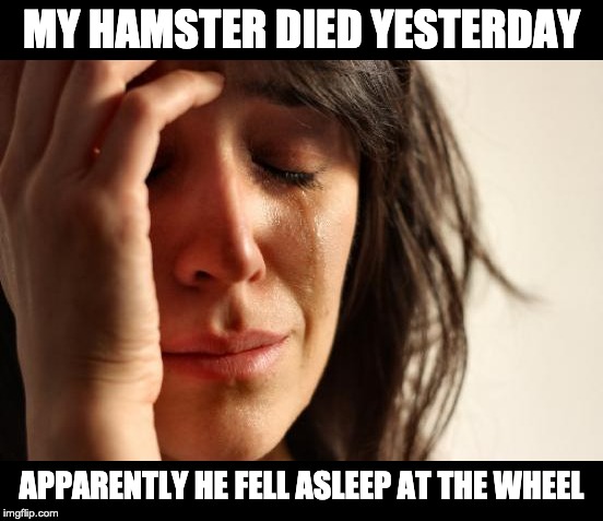 First World Problems Meme | MY HAMSTER DIED YESTERDAY; APPARENTLY HE FELL ASLEEP AT THE WHEEL | image tagged in memes,first world problems | made w/ Imgflip meme maker