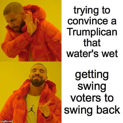 Drake Hotline Bling Meme | trying to
convince a
Trumplican
that
water's wet getting
swing
voters to
swing back | image tagged in memes,drake hotline bling | made w/ Imgflip meme maker