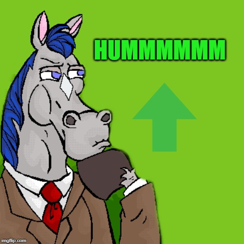 horse | HUMMMMMM | image tagged in horse | made w/ Imgflip meme maker
