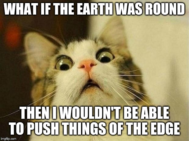 Flat Earth Scared Cat Meme | WHAT IF THE EARTH WAS ROUND; THEN I WOULDN'T BE ABLE TO PUSH THINGS OF THE EDGE | image tagged in memes,scared cat,flat earth | made w/ Imgflip meme maker