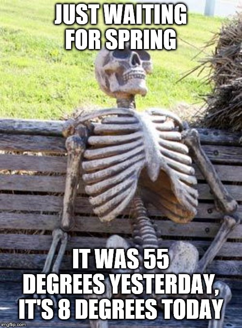 Waiting Skeleton Meme | JUST WAITING FOR SPRING; IT WAS 55 DEGREES YESTERDAY, IT'S 8 DEGREES TODAY | image tagged in memes,waiting skeleton | made w/ Imgflip meme maker