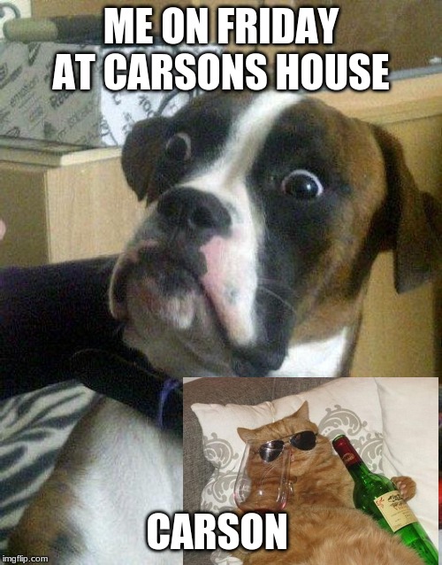 Surprised Dog | ME ON FRIDAY AT CARSONS HOUSE; CARSON | image tagged in surprised dog | made w/ Imgflip meme maker