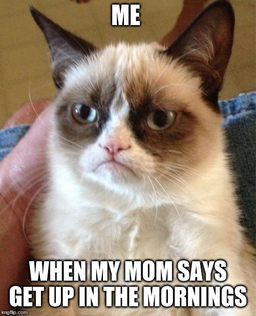 Grumpy Cat | ME; WHEN MY MOM SAYS GET UP IN THE MORNINGS | image tagged in memes,grumpy cat | made w/ Imgflip meme maker