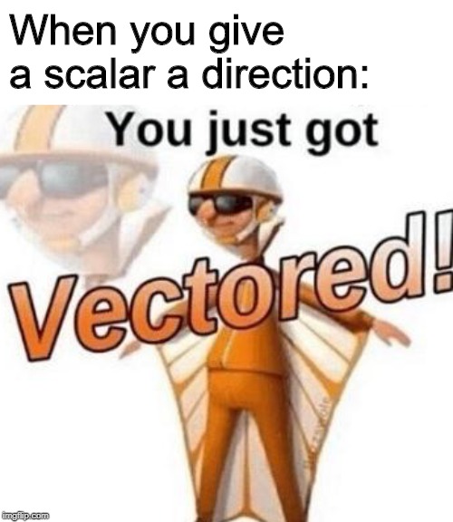 You just got vectored | When you give a scalar a direction: | image tagged in you just got vectored,memes,funny,math,physics,i'll show myself out | made w/ Imgflip meme maker