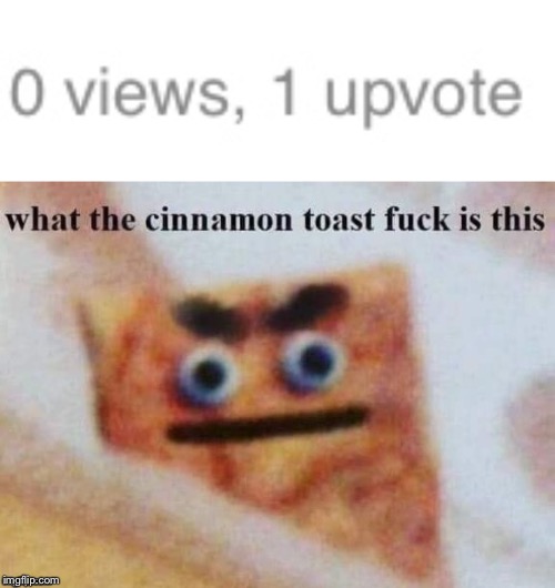 0 views 1 upvote | image tagged in what the cinnamon toast f is this,excuse me what the fuck | made w/ Imgflip meme maker