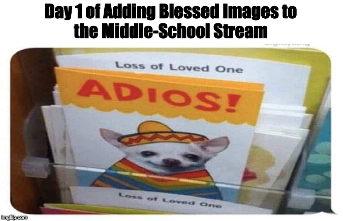 Day 1 of Blessed Images | Day 1 of Adding Blessed Images to
the Middle-School Stream | made w/ Imgflip meme maker