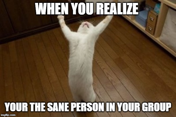 Why Why Why Funny Cat | WHEN YOU REALIZE; YOUR THE SANE PERSON IN YOUR GROUP | image tagged in why why why funny cat | made w/ Imgflip meme maker